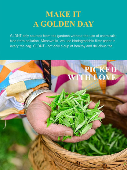 GLDNT Organic White Tea Loose Leaf, 7oz Whole Leaf White Tea, Low Caffeine