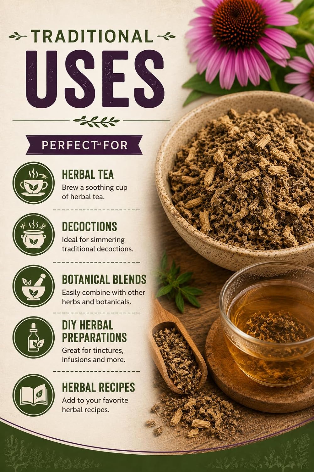 Nature's Wonderland Echinacea Purpurea Root Cut 4oz. (Echinacea purpurea) – Wild Harvested Herbal Tea Cut | Premium Botanical Ingredient | No Fillers | Herbal Tea, Decoctions & DIY Herbal Preparations