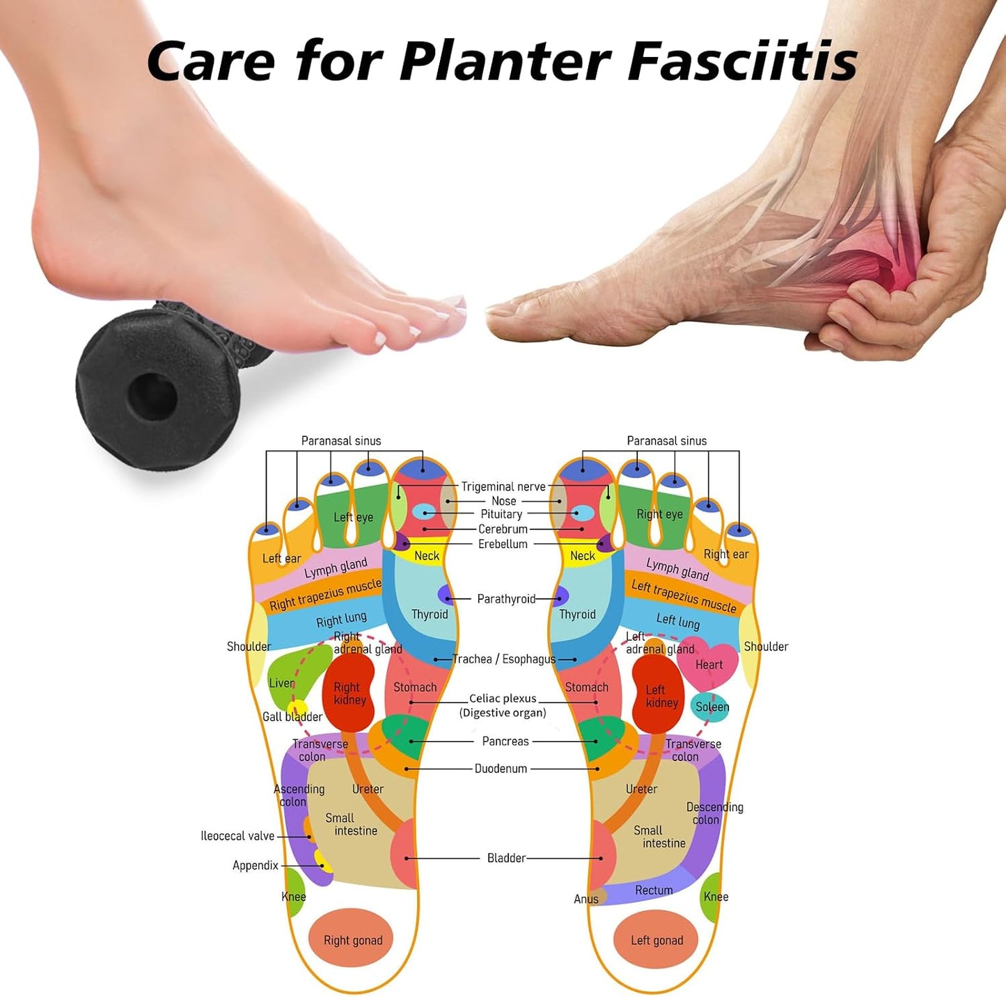 Foot Massager Roller Set for Plantar Fasciitis, Arch and Heel Pain Relief