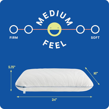 Sealy Dreamlife Queen Size Memory Foam Cooling Pillow with Surface Guard Technology, Removable Machine-Washable Cover, 1 Year Limited Warranty, White (2 Pack)