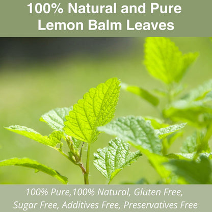 50 Milk Thistle Tea Bags for Detox Cleanse & Repair| Thorne Milk Thistle Herbal Tea for Support