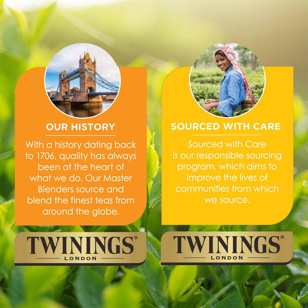 Twinings Wild Berries Herbal Tea 2-Pack, 20 Count Ea