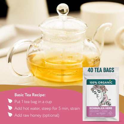 Echinacea Tea Organic (40 Bleach-Free & Microplastic-Free TeaBags) - Natural Immunity Support