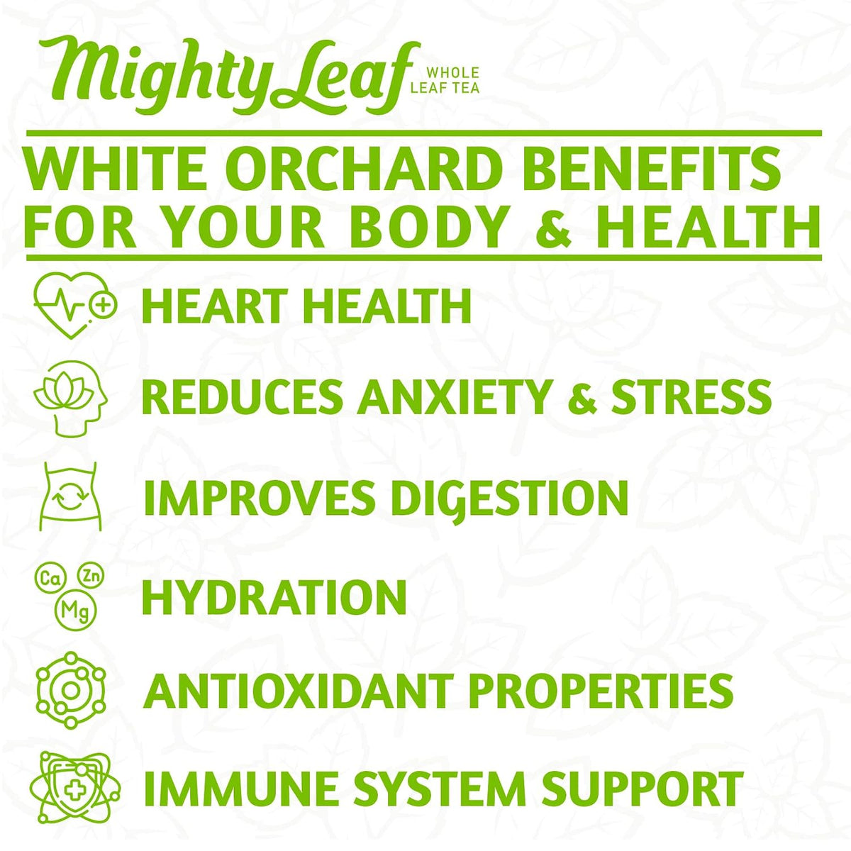 Mighty Leaf White Orchard White Tea - Foil-Wrapped - 100 Count Pouches