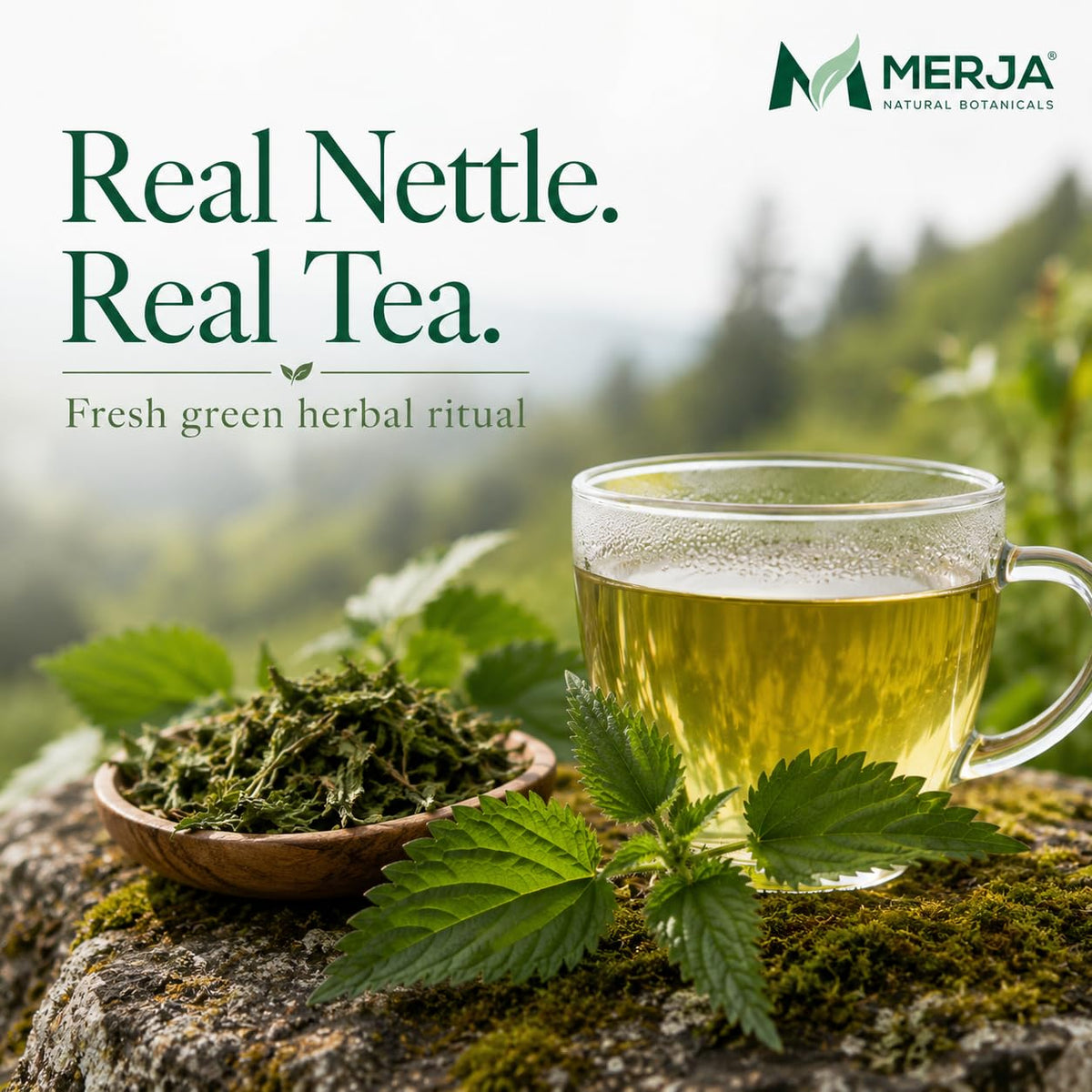 Merja Herbs Nettle Leaf Tea - Bone Wellness & Pain Relief - Natural Caffeine Free - Loose Tea - 100% Natural & Premium Quality 50gr 1.8 oz