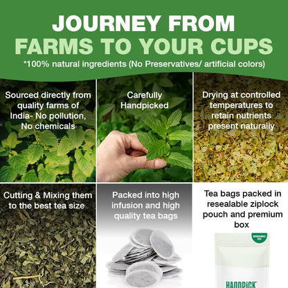 HANDPICK Lemon Balm Tea Bags – 100 Count | 100% Pure & Naturally Dried | Caffeine-Free Herbal Tea with Citrus Flavor & Aroma | Premium Lemon Balm Leaf