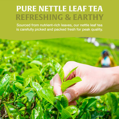 HANDPICK Nettle Leaf Tea (40 Tea Bags) 100% Pure Leaf Tea, No Additives