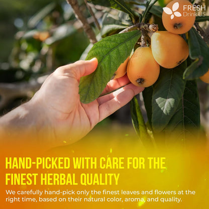 FreshDrinkUS, Premium Loquat Leaf Tea, 40 Count, Pure, Caffeine Free