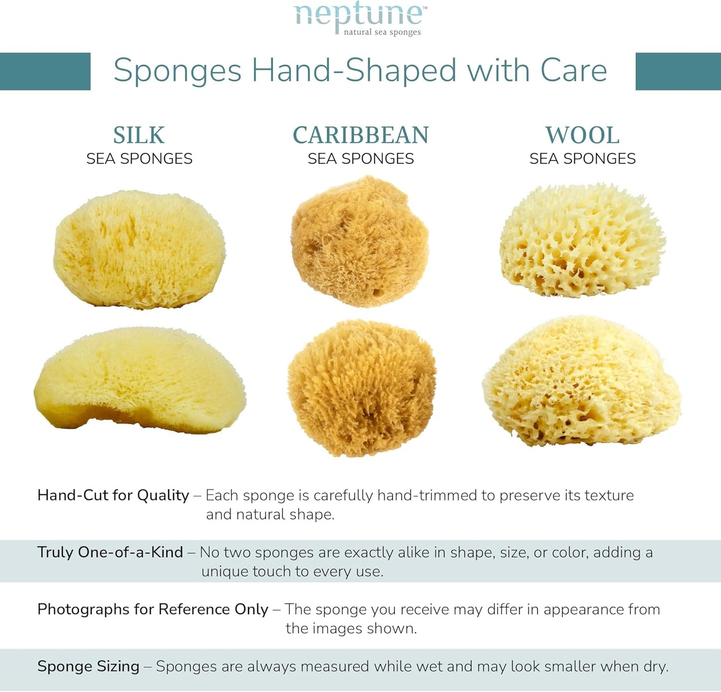 Neptune Caribbean Sea Sponge for Face & Body, Medium Approx. 5-6 Inch, Ultra-Soft Bath Sponge, Eco-Friendly & Biodegradable