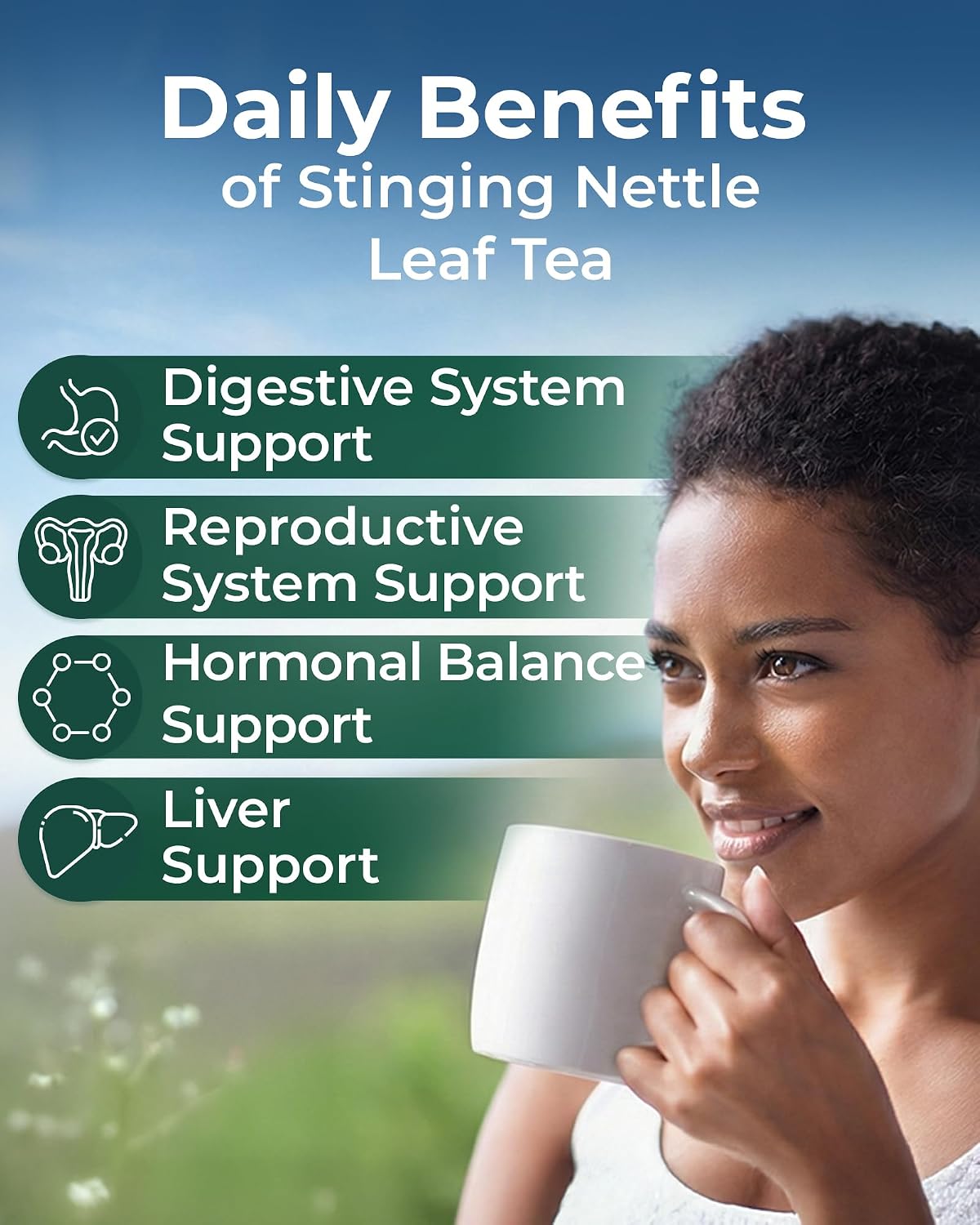 100 Bags Nettle Leaf Tea Dried Stinging Nettle Herb (Urtica Dioica) - 100 Count 1.5g Tea Bags Herb Hojas De Ortiga
