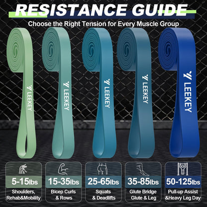 Resistance Bands for Pull Up Assist, Stretch Bands & Exercise Workout Set