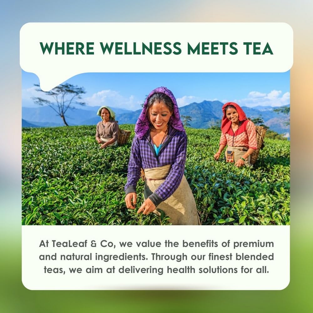 Detox Kahwa Green Tea (3.5oz / 100gm), Natural Herbal Infusion, 50 Tea Bags
