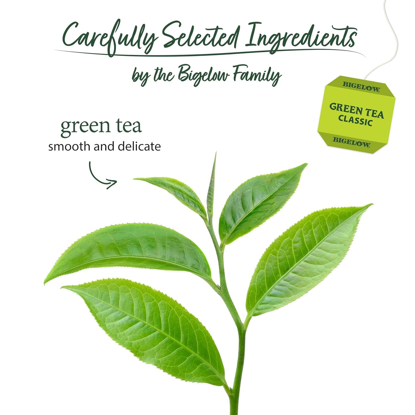 Bigelow Tea Green Tea with Mint, Caffeinated Tea with Green Tea and Peppermint, 20 Count (Pack of 6), 120 Total Tea Bags
