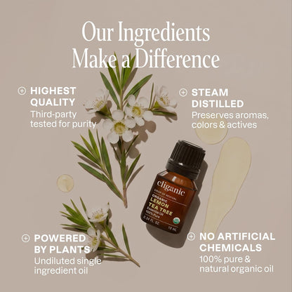 Cliganic Organic Lavender Essential Oil - 100% Pure Natural Undiluted, for Aromatherapy Diffuser | Non-GMO Verified - Colors B