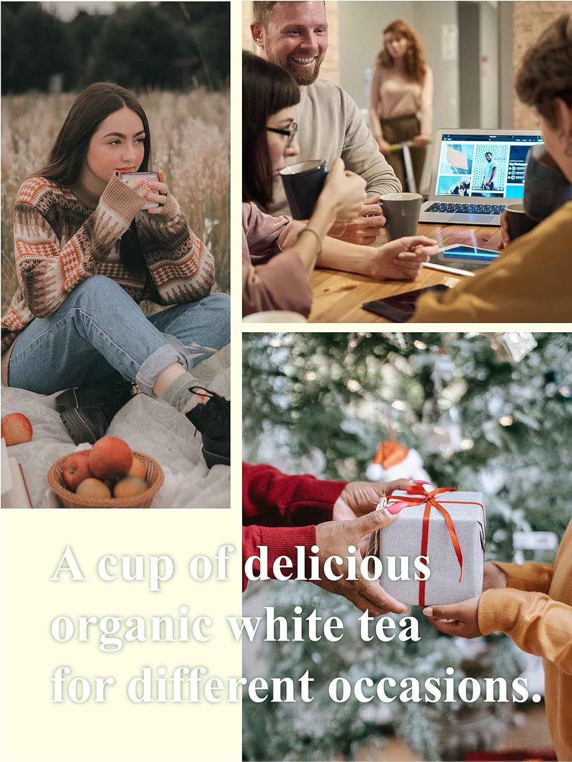 GLDNT Organic White Tea Loose Leaf, 7oz Whole Leaf White Tea, Low Caffeine