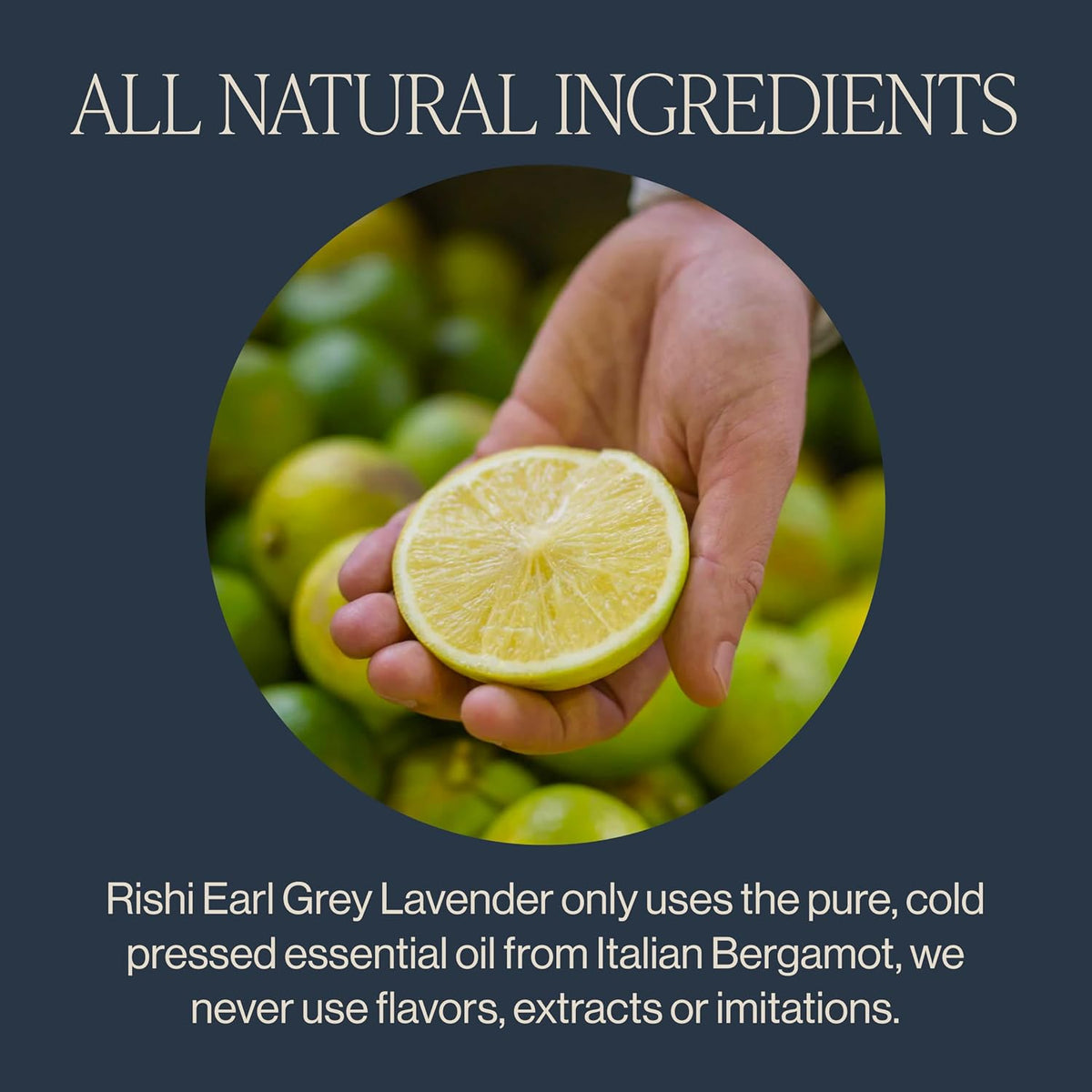 Rishi Tea Earl Grey Lavender Organic Black Loose Leaf Tea, Caffeinated, 4oz