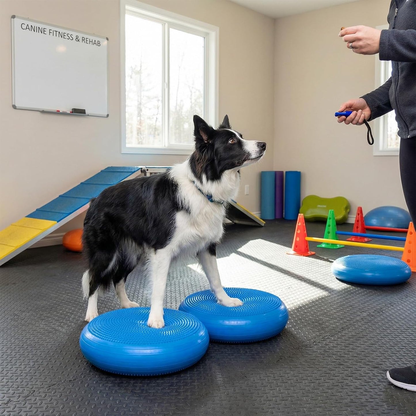 Shappy 2 Pcs Dog Balance Disc Cushion 14" with Pump Exercise Equipment Rehab Exercise Strength Endurance Conditioning Agility Flexibility Stability Rehabilitation Physical