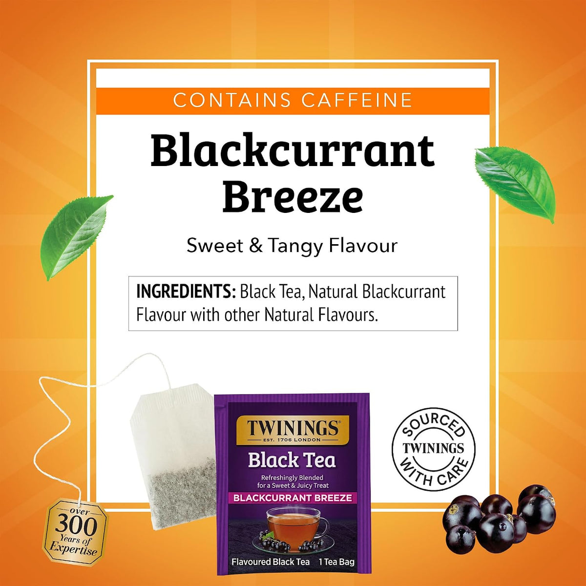 Twinings Blackcurrant Breeze Black Tea Individually Wrapped Bags, 100 Count (Pack of 1), Sweet, Tangy Taste, Caffeinated, Enjoy Hot or Iced, 100 Teabags