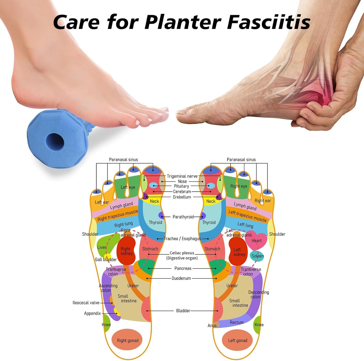 Foot Massager Roller for Plantar Fasciitis, Portable Reflexology Tool | Deep tissue massage for feet, calf, arch and heel pain. for plantar fasciitis relief, home, office and travel use