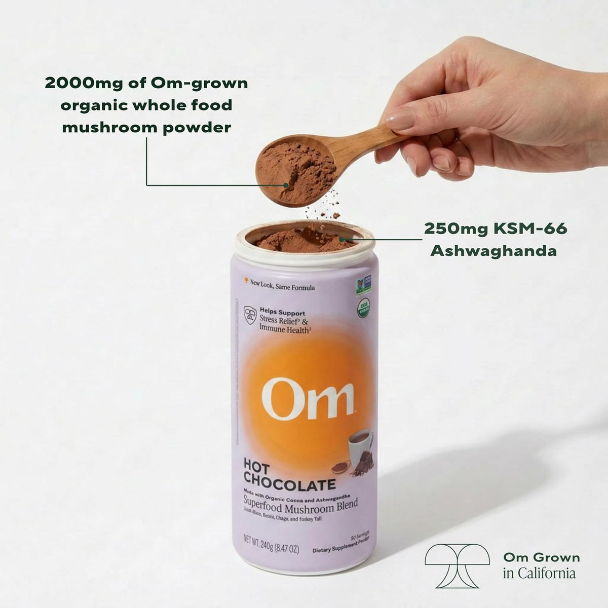 OM MUSHROOM SUPERFOOD Matcha Latte Blend – Green Tea Mushroom Powder with Lion’s Mane, Reishi, Chaga & Turkey Tail – Focus, Calm & Stress Support – 8.47 oz Canister (30 Servings)