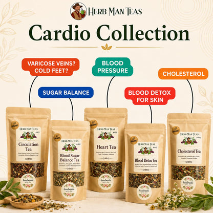 CHOLESTEROL HEALTH TEA – Traditional Herbal Tea for Healthy Cholesterol Levels with Moringa, Fenugreek, Turmeric, Cinnamon, Ginger, Tulsi & Dandelion – Premium Organic Loose Leaf Tea by Master Herbalist Khabir – Non-GMO, No Additives