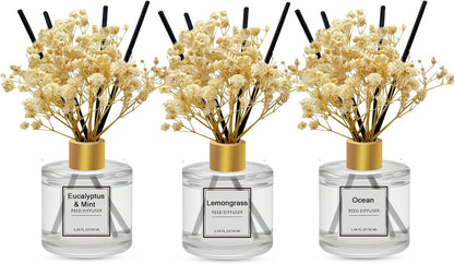 Reed Diffuser Set of 3 Pack,Clean Linen,Eucalyptus & Mint,Ocean Scented Oil Diffuser with 4 Sticks,Reed Diffusers for Home,Living Room,Bathroom Air Freshener Diffuser,50ml x 3