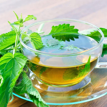 Nettle Leaf - Urtica dioica Dried Loose Leaf 100% from Nature (1 oz)