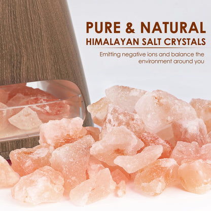 SALKING 2-in-1 Ultrasonic Essential Oil Diffuser & Himalayan Salt Lamp, Aromatherapy Diffuser Cool Mist Humidifier with 3 Brightness, Salt Therapy Lamp, 100% Pure Himalayan Salt Rock, 150ml (Marble)