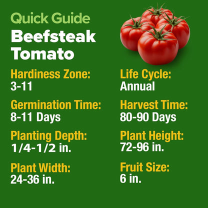HOME GROWN Beefsteak Tomato Seeds, 300+ Seeds, Solanum lycopersicum