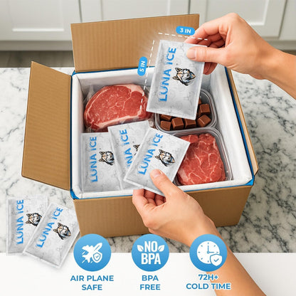 Dry Ice Packs for Shipping - Long Lasting ice Packs - 24+ Hour Freeze Power - BPA Free - 12 Pack Bulk 3 lb – Hielo Seco - Reusable Gel Bricks for Food