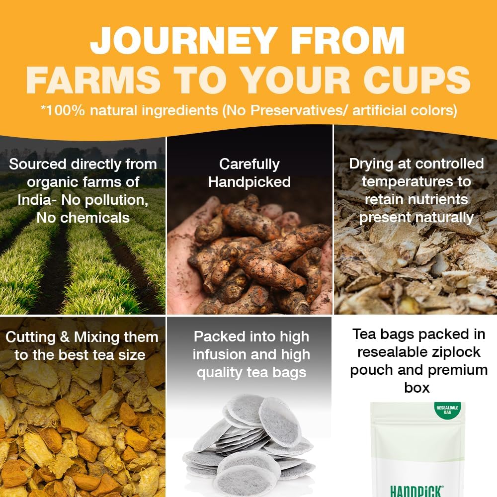 HANDPICK, Organic Turmeric Ginger Tea (100 Tea Bags) | Herbal Tea, Strong Spicy Flavor, Caffeine Free, Daily Wellness Tea, Smooth & Warming Infusion | Non-GMO, Gluten Free | Ecofriendly Tea Bags