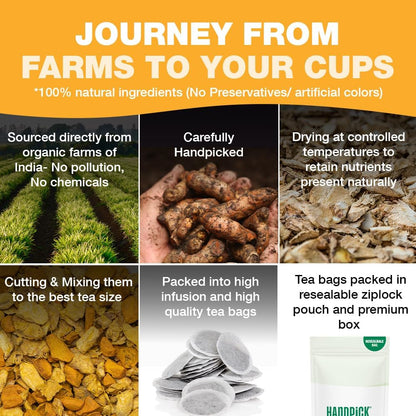 HANDPICK, Organic Turmeric Ginger Tea (100 Tea Bags) | Herbal Tea, Strong Spicy Flavor, Caffeine Free, Daily Wellness Tea, Smooth & Warming Infusion | Non-GMO, Gluten Free | Ecofriendly Tea Bags