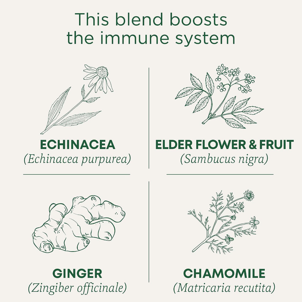 Traditional Medicinals Organic Echinacea Plus Elderberry, 16 Tea Bags