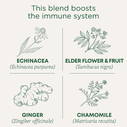 Traditional Medicinals Organic Echinacea Plus Elderberry, 96 Tea Bags