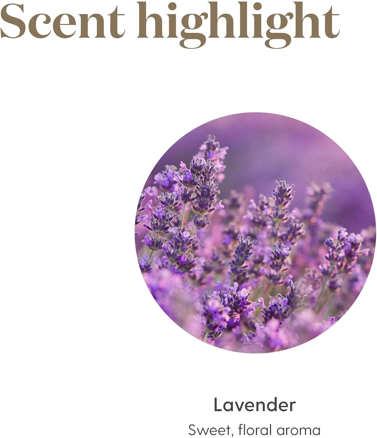 Young Living Lavender Essential Oil | 15 ml | Soothing & Relaxing Aroma for Massage, Aromatherapy, & Skin Care | Calms the Mind & Enhances Relaxation | Authentic Fragrance for Perfume