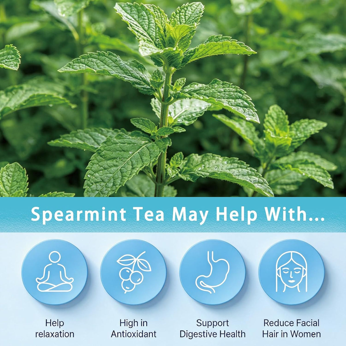 Samcci Spearmint Tea Bags, 40 Counts, Pure Dried Spearmint Leaf