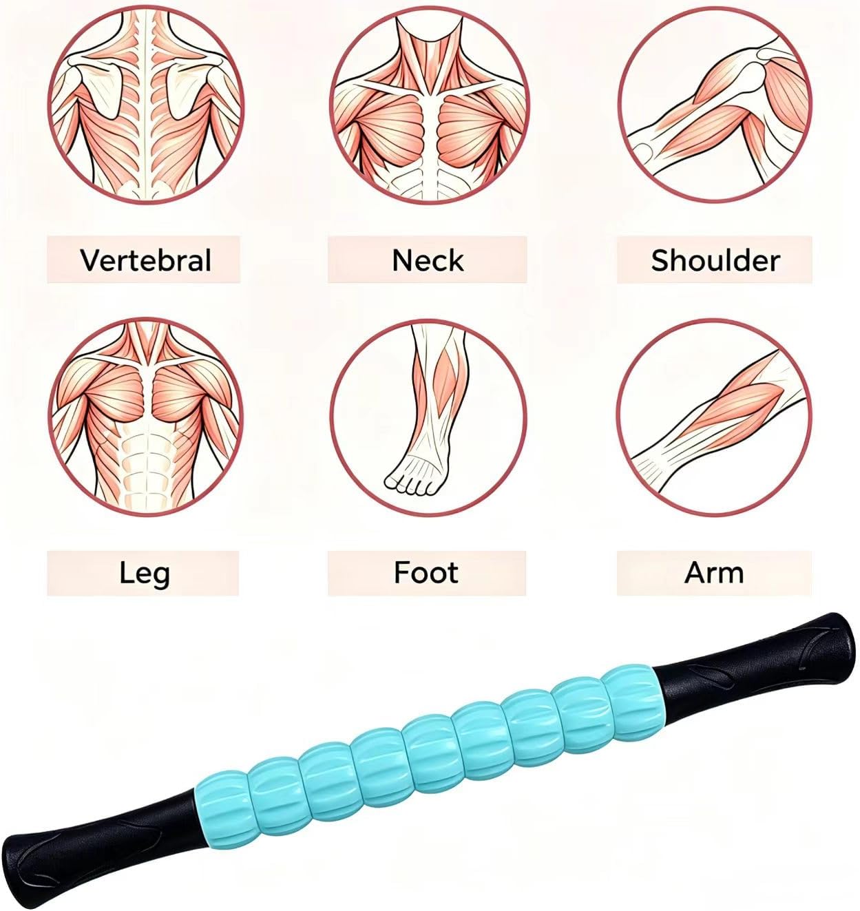 Muscle Roller Stick - A Full-Body Massage Roller that Can Relieve Muscle Soreness, Cramps and Tension After Exercise. It is a Handheld Physical Therapy and Recovery Tool（Black and Purple）