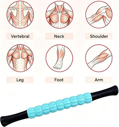 Muscle Roller Stick - A Full-Body Massage Roller that Can Relieve Muscle Soreness, Cramps and Tension After Exercise. It is a Handheld Physical Therapy and Recovery Tool（Black and Purple）