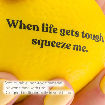 LemonAid – Set of 2 Stress Balls – Soft & Firm Squeeze Levels | Fun Stress Relief Hand Exerciser | Perfect Christmas, Birthday & Appreciation Gifts for Teachers & Employees
