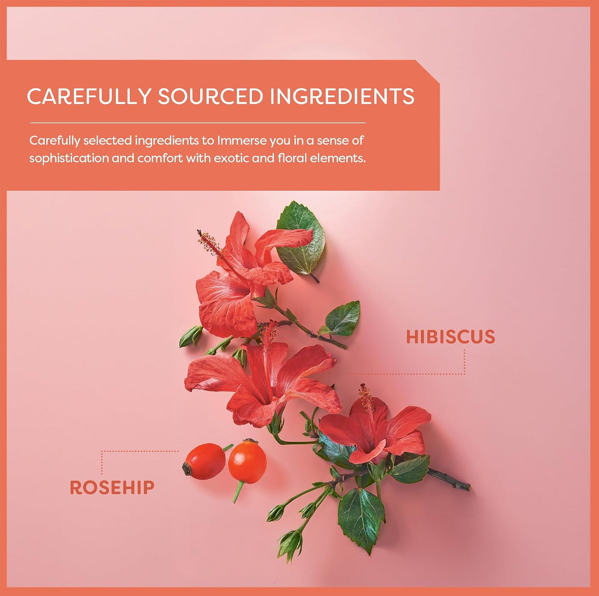 Wissotzky Rosehip & Hibiscus Herbal Tea, 20 Tea Bags | Exotic Blend | Caffeine Free Tea | Immune Boost
