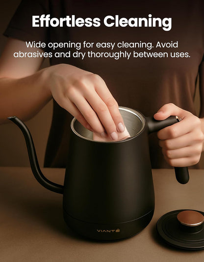 Viante Alba Electric Tea Kettle with Infuser, No Plastic In Contact With Water, 1.5L Borosilicate Glass, 304 Stainless Steel, 4 Temperature Presets, Keep Warm, Cordless, Auto Shut-Off