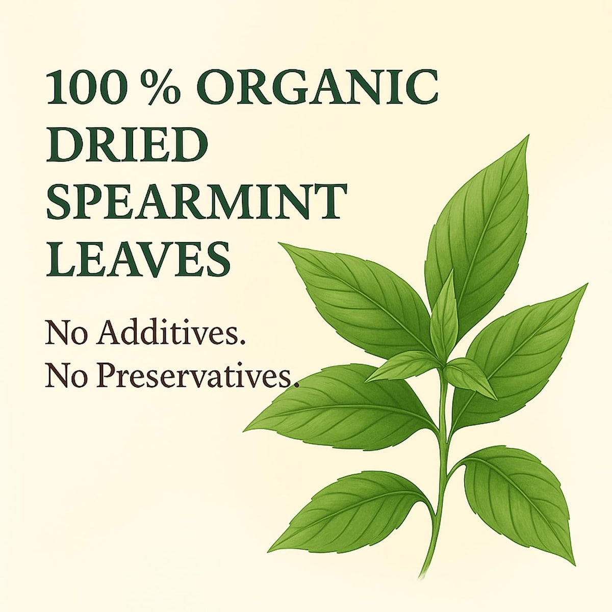 Organic Spearmint Tea (100 tea bags | 8 oz | 226g)