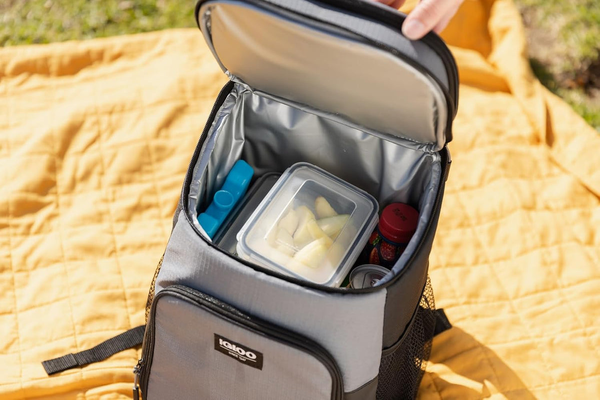 Igloo Maxcold Ice Block,4 Pieces, Ice Block