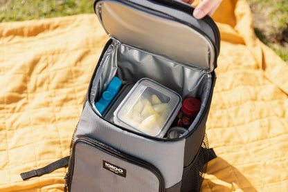 Igloo Maxcold Ice Block,4 Pieces, Ice Block