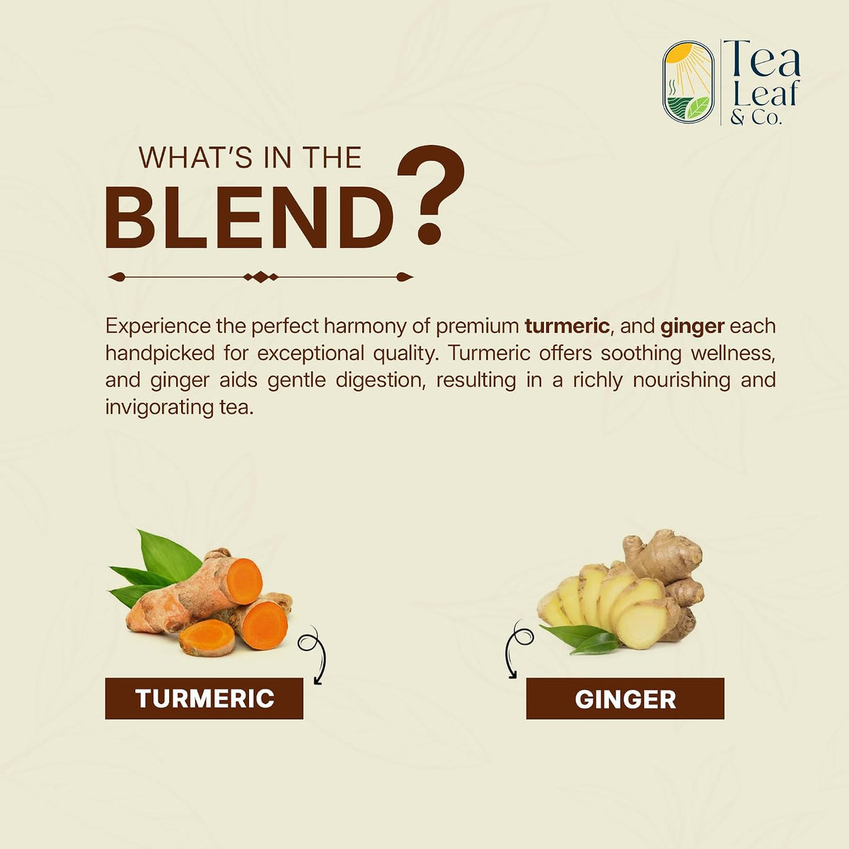 Turmeric Ginger Herbal Tea 200gm/7oz, Natural Herbal Infusion, 100 Tea Bags