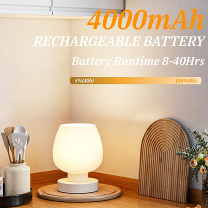 Seealle Touch Table Lamp for Nightstand - Small Bedside Lamp for Bedroom Living Room Night Stands, Desk Lamp with White Glass Shade for Small Spaces, 3 Way Dimmable, LED Bulbs, Gifts