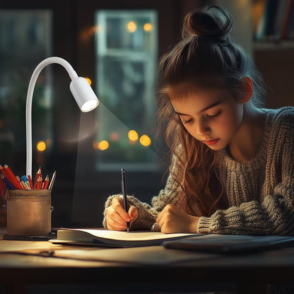 DAMI LED Reading Light for Bed Headboard – Dimmable Clip-On Book Light with Flexible Gooseneck, Adjustable Color Temperature (3000/4000/6000K), USB-Powered Desk Lamp for Dorms and Home