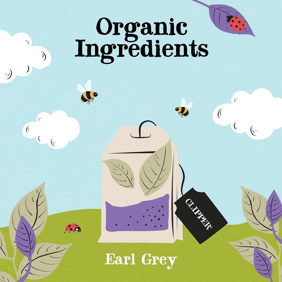 Clipper Organic Earl Grey Tea, 80 Tea Bags