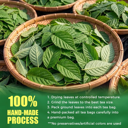WildSap Emeralds Red Raspberry Leaf Tea, 40 Corn Fiber Bags & Infuser