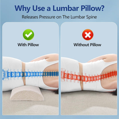 Cozyhealth - 3.15"H*23.6"L - Soft Lumbar Pillow for Sleeping, Memory Foam Back Lumbar Support Cushion for Lower Back Pain Relief Bed Waist Sleep Support Pillow for Side, Back Sleepers (White, Large)